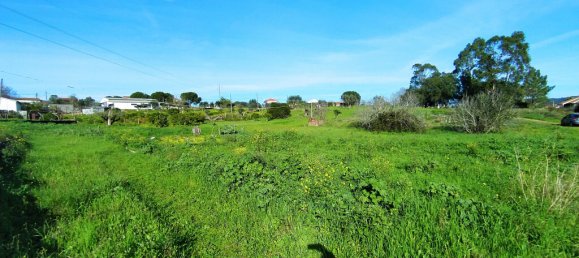 Terrain à Tomar, Portugal 2682m² No. 79583 12