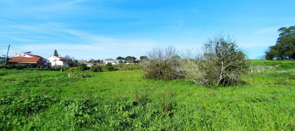 Terrain à Tomar, Portugal 2682m² No. 79583 15