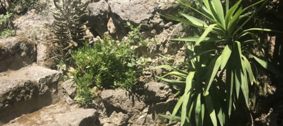 4 rooms Villa in Orbetello, Italy No. 150232 3