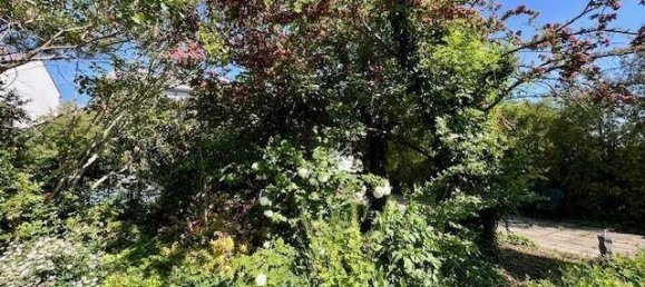 3 chambres Maison à Perchtoldsdorf, Austria No. 214569 6