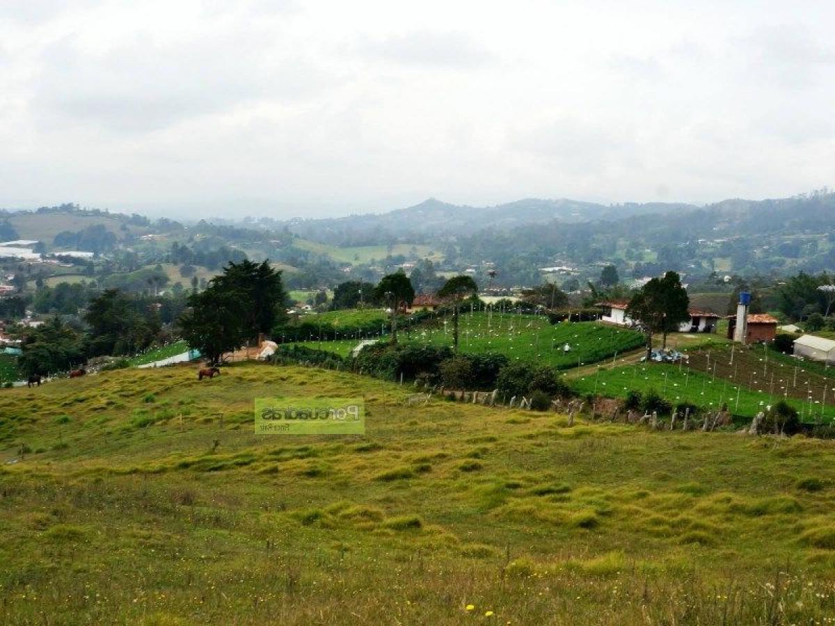  Land in Antioquia, Colombia No. 699