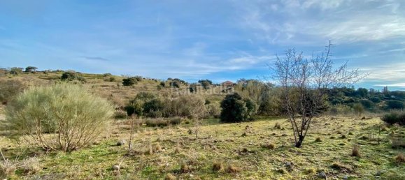 36887m² Land in Valdemorillo, Spain No. 118434 4