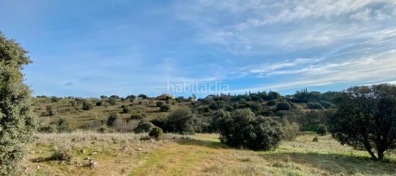 36887m² Land in Valdemorillo, Spain No. 118434 5