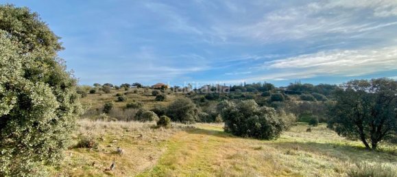 36887m² Land in Valdemorillo, Spain No. 118434 6