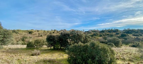 36887m² Land in Valdemorillo, Spain No. 118434 7