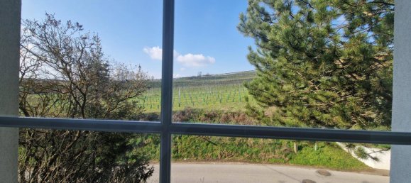 3 bedrooms Castles in Grossweikersdorf, Austria No. 165496 8