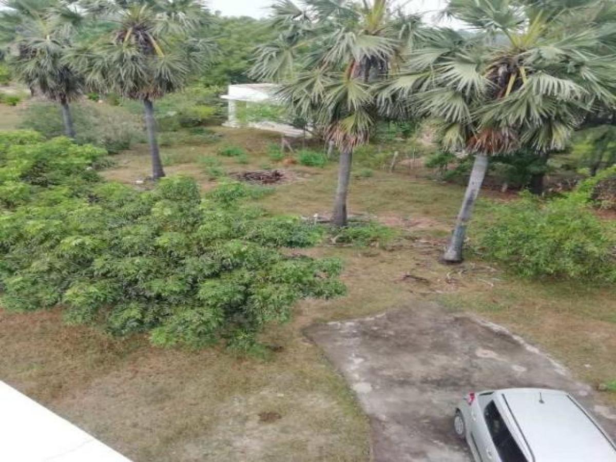 Terrain à Chennai, India No. 35513