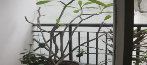 3 bedrooms Apartment in Ba Dinh, Vietnam No. 5884 15