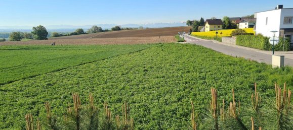 3 chambres Appartement à Luftenberg an der Donau, Austria No. 197478 5