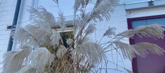 4 غرف نوم شقة في Darmstadt-Dieburg, Germany رقم 235654 9