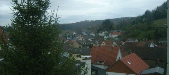 4 غرف نوم شقة في Darmstadt-Dieburg, Germany رقم 235654 2