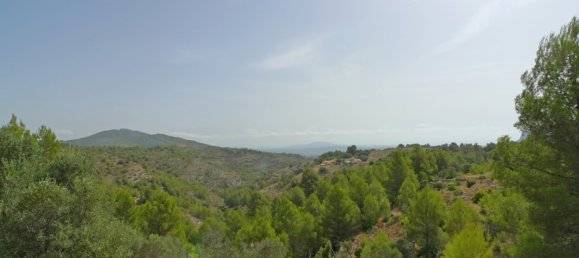  Land in Jalon, Spain No. 10250 4