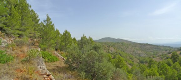  Land in Jalon, Spain No. 10250 7