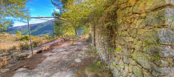  Land in Jalon, Spain No. 10250 23