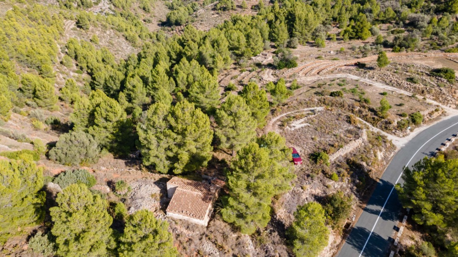  Land in Jalon, Spain No. 10250