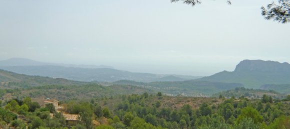  Land in Jalon, Spain No. 10250 6