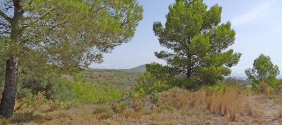  Land in Jalon, Spain No. 10250 3