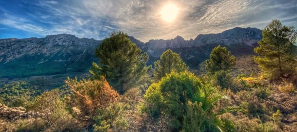  Land in Jalon, Spain No. 10250 20