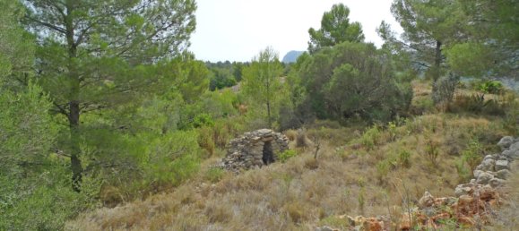  Land in Jalon, Spain No. 10250 2