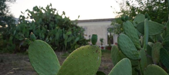 7 Schlafzimmer Haus in Modica, Italy, Nr. 60010 11