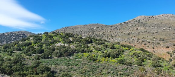 Hôtel à Agios Nikolaos, Greece 40085m² No. 3337 3