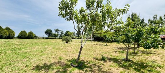 3 bedrooms Townhouse in A Coruna, Spain No. 159992 33