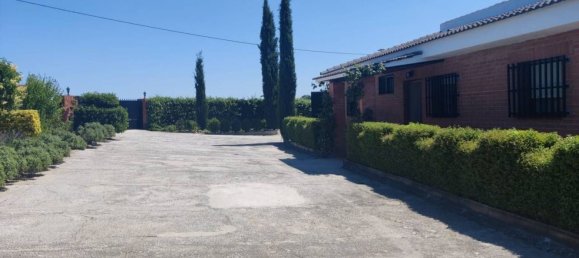 4 bedrooms House in El Molar, Spain No. 168870 14