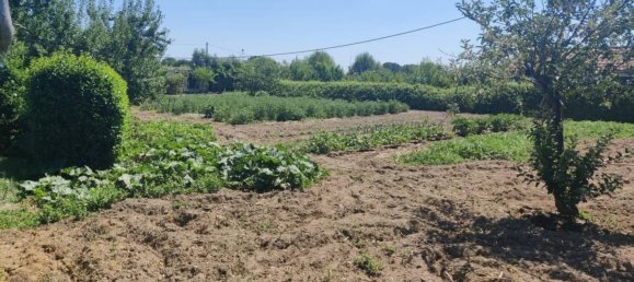 4 bedrooms House in El Molar, Spain No. 168870 33