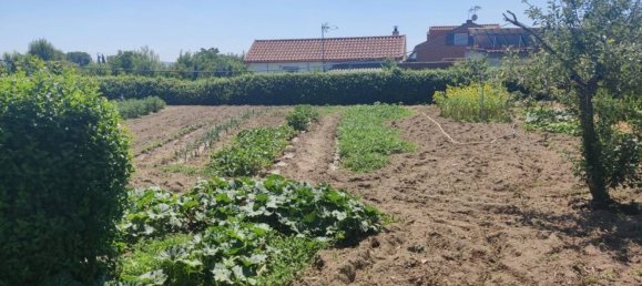 4 bedrooms House in El Molar, Spain No. 168870 36