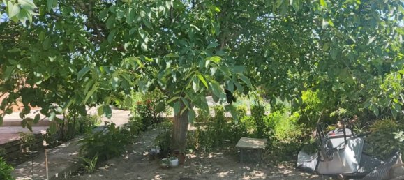 4 bedrooms House in El Molar, Spain No. 168870 39