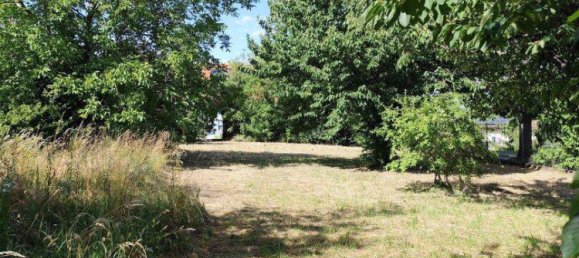  قطعة أرض في Edelstal, Austria رقم 249247 3