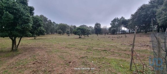 5 bedrooms House in Nisa, Portugal No. 123140 11