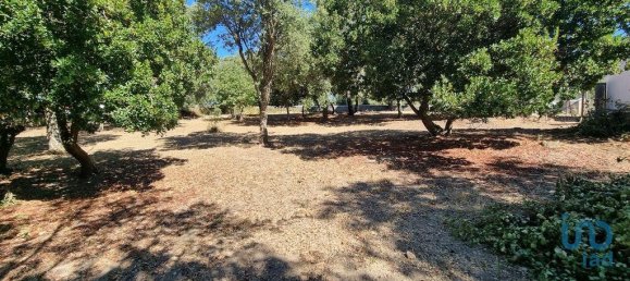 5 bedrooms House in Nisa, Portugal No. 123140 13