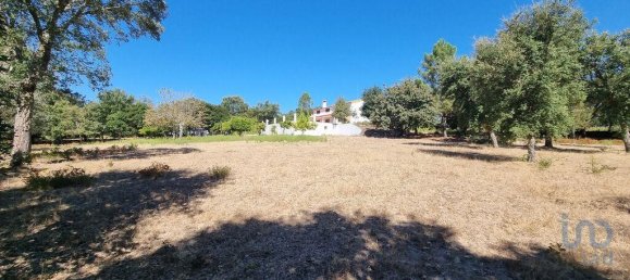 5 bedrooms House in Nisa, Portugal No. 123140 16