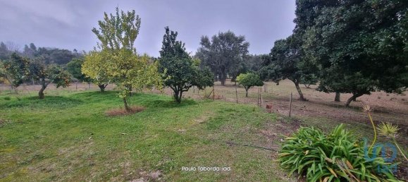 5 bedrooms House in Nisa, Portugal No. 123140 20