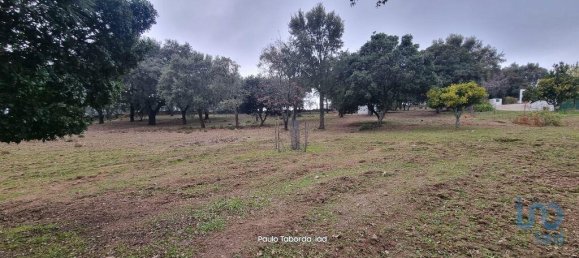 5 bedrooms House in Nisa, Portugal No. 123140 7