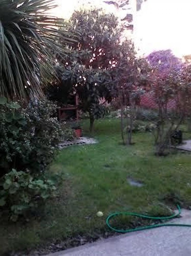 4 Schlafzimmer Haus in Mar del Plata, Argentina, Nr. 86107