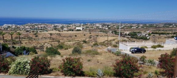 8 Schlafzimmer Villa in Paphos, Zypern, Nr. 25019 14
