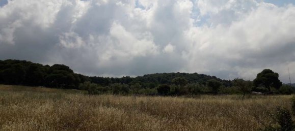 Terra em Zakynthos, Greece N.º 604 3