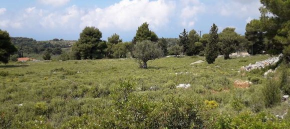 Terra em Zakynthos, Greece N.º 604 9
