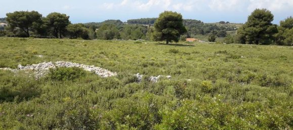Terra em Zakynthos, Greece N.º 604 10