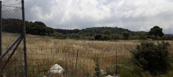Terra em Zakynthos, Greece N.º 604 11