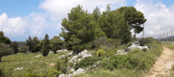 Terra em Zakynthos, Greece N.º 604 8