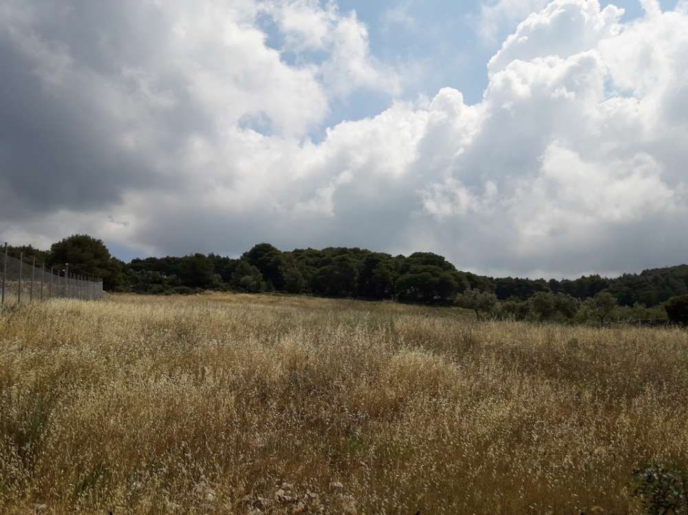 Terra em Zakynthos, Greece N.º 604
