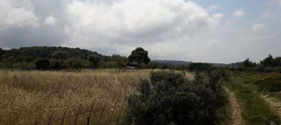  Hotel in Zakynthos, Greece No. 604 4