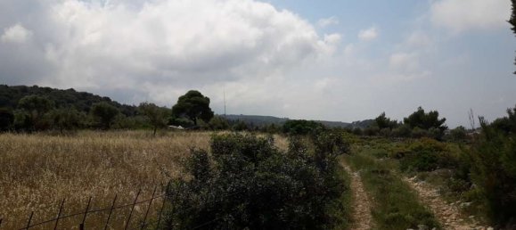  Hotel in Zakynthos, Greece No. 604 5