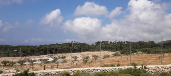 Terra em Zakynthos, Greece N.º 604 15