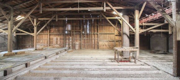  Land in Steinburg, Germany No. 332061 10