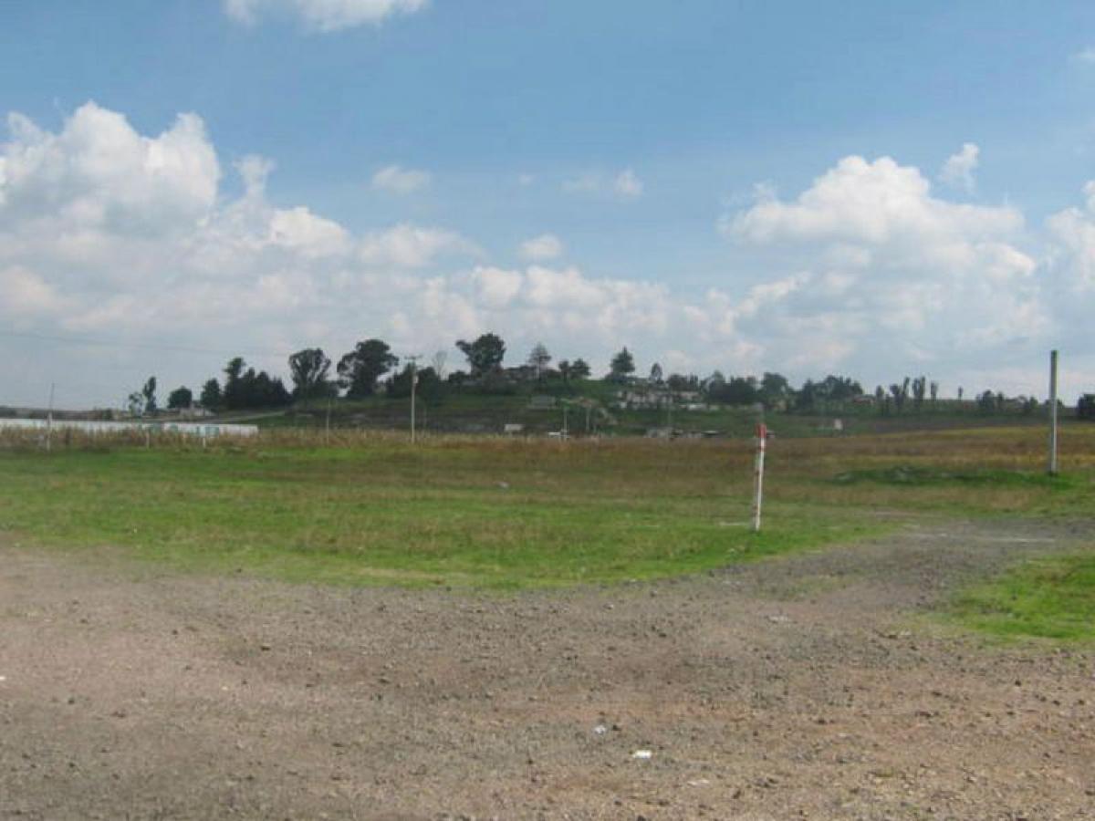  Land in Almoloya de Juarez, Mexico No. 206051