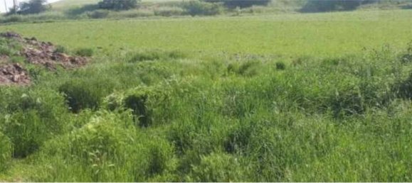 1 room Warehouse in Urbino, Italy No. 343021 4